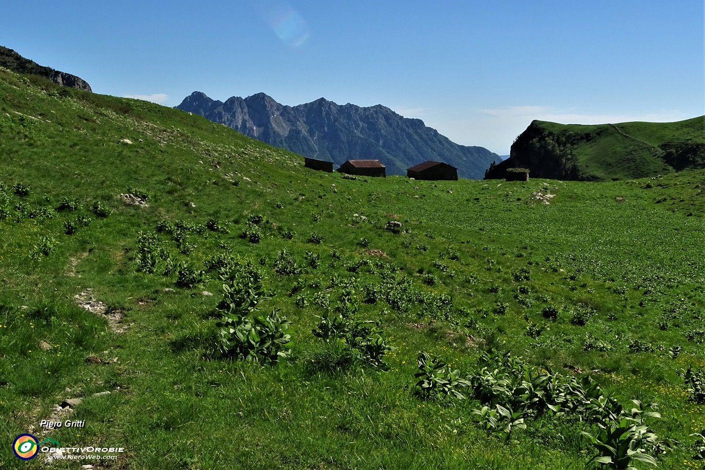 78 Discesa sul sent. 231 nei verdi pascoli dell'alta Val Vedra.JPG
